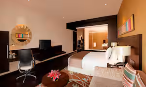 King Accessible Guest Room